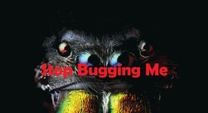 Stop Bugging Me Pest Control Pic 3