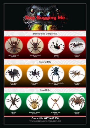 Stop Bugging Me Pest Control Pic 5 - Stop Bugging Me Pest Control Spider Chart 12