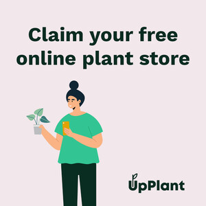 UpPlant Pic 3 - Claim your free online plant store on UpPlant