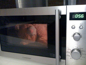 BBQ & Oven Cleaning Joondalup Pic 2 - Microwave Cleaning