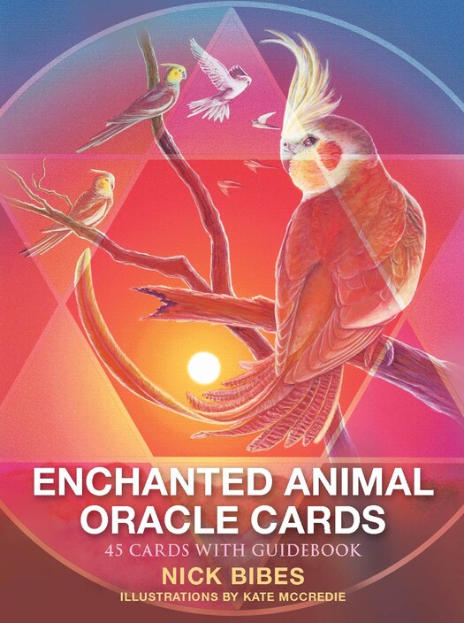 Enchanted Soul Healing Pic 1 - Enchanted Soul Healing Oracle Cards By Nick Bibes