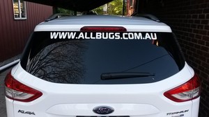 Auto Decals Pic 4