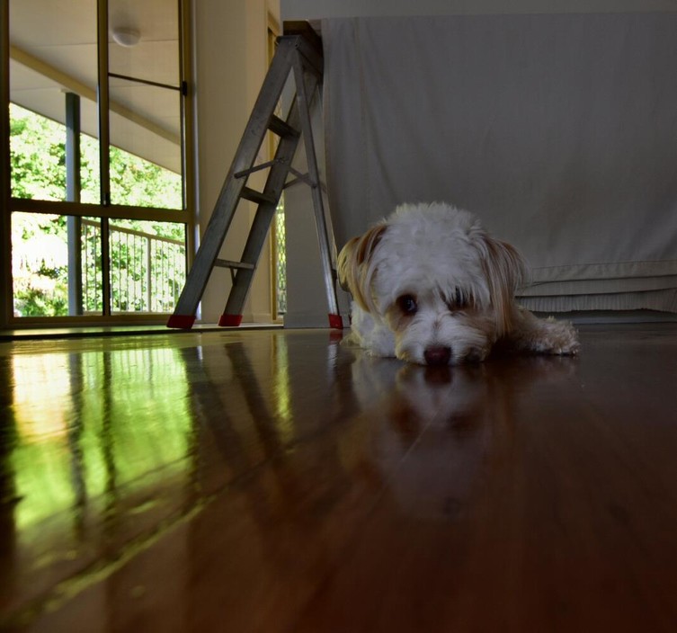 Ambers Floor Sanding Pic 1