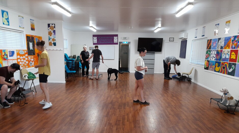 Eclipse Dog Training Pic 1 - Puppy preschool class