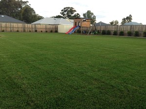 Greener Property Maintenance Pic 4 - Turfing