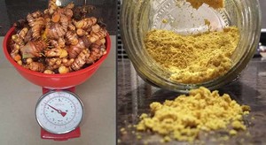 Foodscaper Pic 5 - Turn home grown turmeric into one years worth of turmeric powder