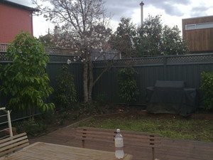 Blacklion Construction and Demolition Pty Ltd Pic 2 - colorbond fencing