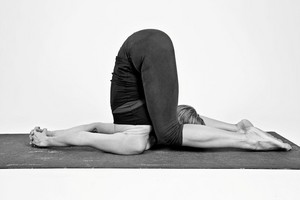 YogaOne Pic 5