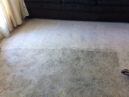 Adam's Carpet Cleaning Pic 2 - Before and After Carpet Cleaning