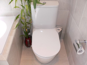 Nationwide Plumbing Contractors Eastern Suburbs Pic 3 - leaking toilet vaucluse