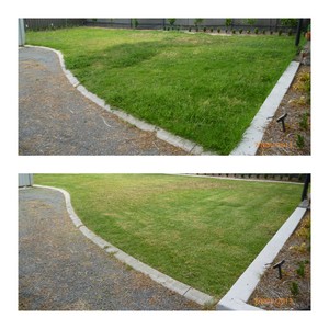 Principal Gardens Pic 2 - Need your lawns mowed and edged Call today