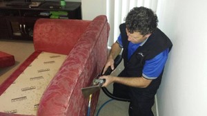 James' Carpet Cleaning & Pest Control Pic 3