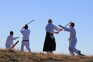 Aikido, Aiki Kai Mt Eliza Pic 2 - Mountain training at Mt Hotham