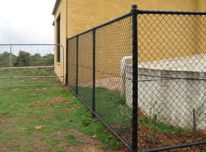 Begonia City Fencing Pic 4