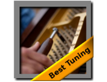 Piano Tuning Pic 3 - Piano Tuning with Stunning Results