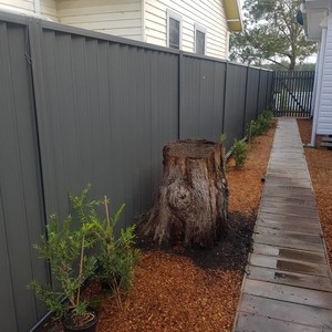 Eyecare Stump Grinding Central Coast Pic 2