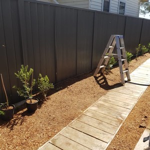 Eyecare Stump Grinding Central Coast Pic 3