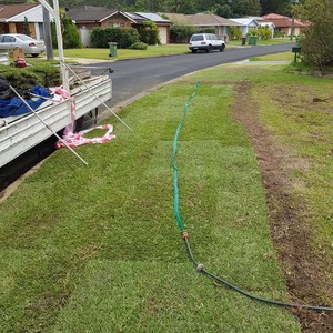 Eyecare Stump Grinding Central Coast Pic 4