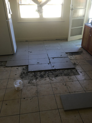 DJ Handyman Pic 3 - Kitchen tiling