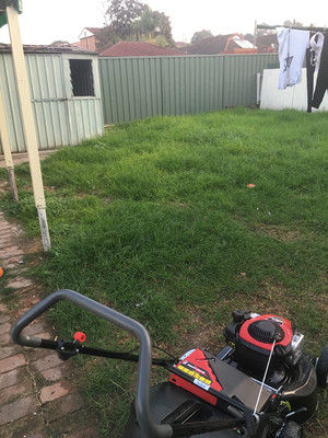 DJ Handyman Pic 4 - Lawn mowing before