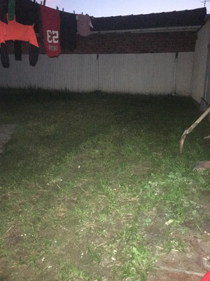 DJ Handyman Pic 5 - Lawn moving after