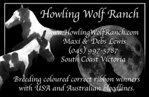 Howling Wolf Ranch Miniature Horses Pic 3