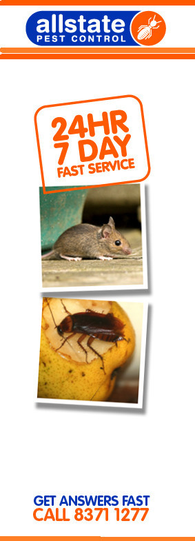 Allstate Pest Control Pic 3 - Pest Control Adelaide