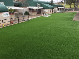 Artificial Grass Adelaide Pic 4 - School Artificial Grass