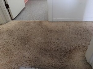 Carpet Cleaning Pooraka Pic 2