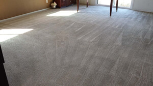 Carpet Cleaning Pooraka Pic 5