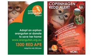 Trebor Design Pic 4 - Orangutan Project posters