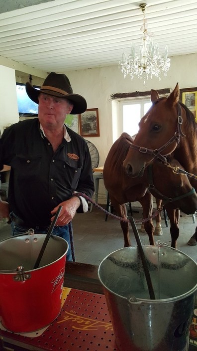 Overland Corner Hotel Pic 1 - two horses having a drink at the front bar