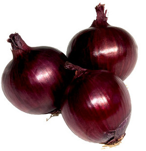 Magnus Kahl Seeds Pty Ltd Pic 2 - F1 Red Knight red hybrid onion from Magnus Kahl Seeds