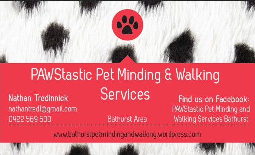 PAWStastic Pet Minding and Walking Services Pic 1