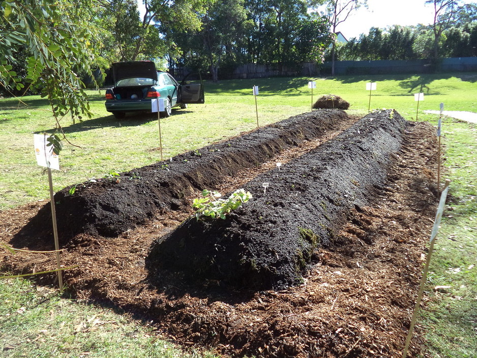 Gold Coast Permaculture Pic 1