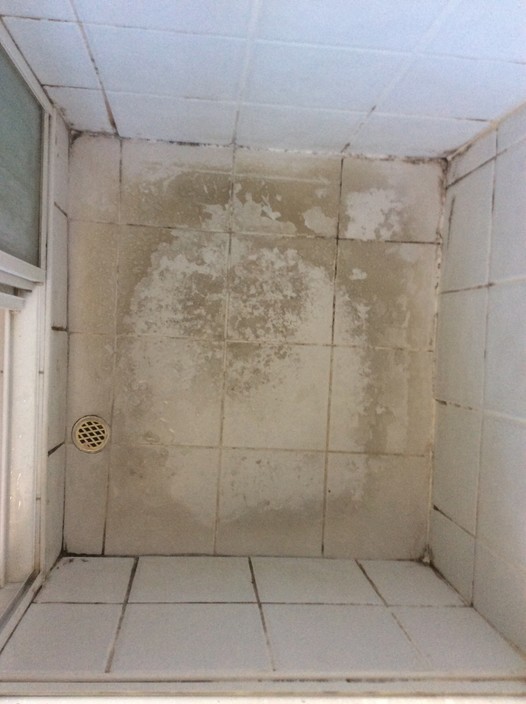 Leaking Showers Sealed Pic 1