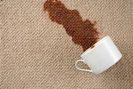 Celtic Carpet and Upholstery Cleaning Pic 2