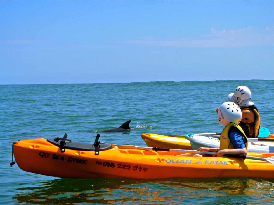 Go Sea Kayak Byron Bay Pty Ltd Pic 1 - Go Sea Kayak Byron Bay