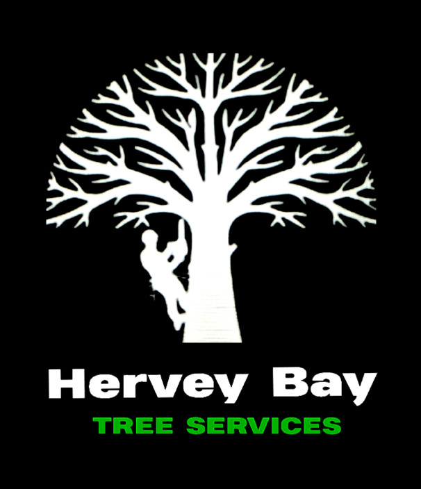 Hervey Bay Tree Services Pic 1