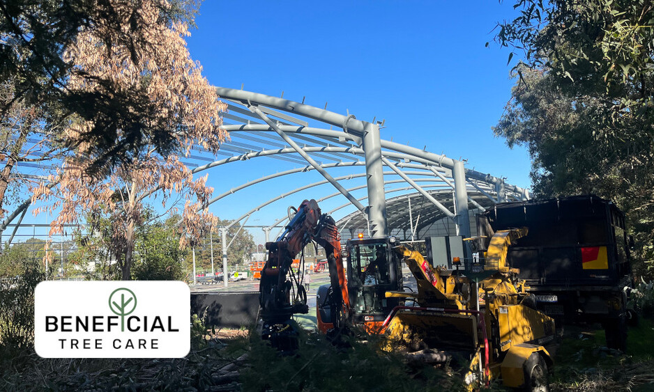 Beneficial Tree Care Pic 1 - Beneficial Tree Care performing land clearing services for building developments in the east of Melbourne Victoria