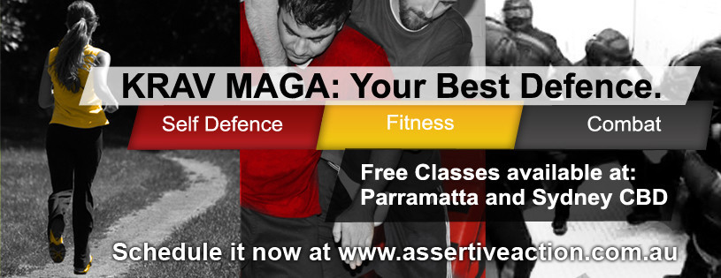 Assertive Action Krav Maga Pic 2