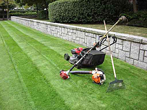 The Logan Mower Man Pic 4 - Small and Medium yard Lawn Mowing