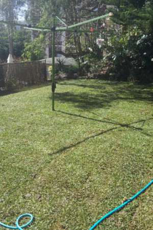 Turf It Up pty ltd Pic 3 - Big New Backyard