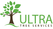 Ultra Tree Services Pic 1