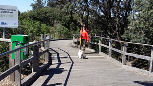 Dog Walking + Minding Pic 3 - Archie Frankston Boardwalk