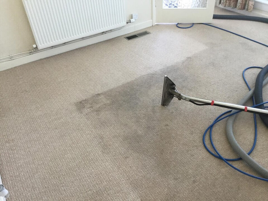 Carpet Cleaning Bondi Pic 1