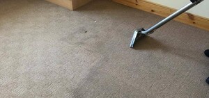 Carpet Cleaning Bondi Pic 2