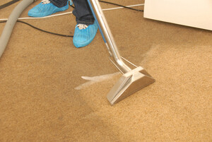 Carpet Cleaning Bondi Pic 3