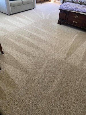 Carpet Cleaning Conder Pic 3