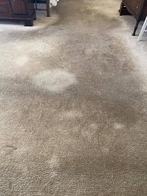 Carpet Cleaning Conder Pic 4